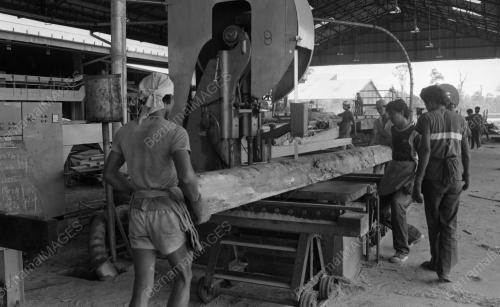 PH16_22102015_KILANG_PAPAN