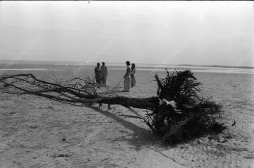 HAKISAN PANTAI