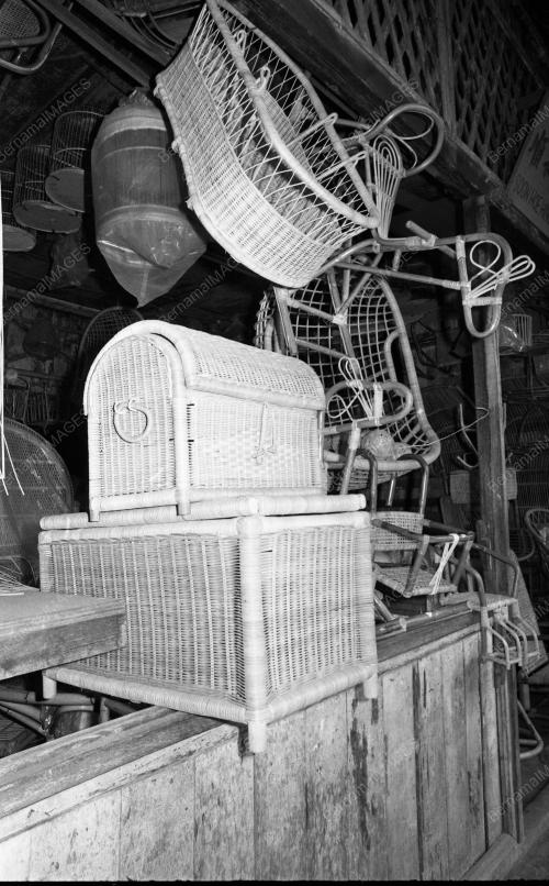 PH16_28012015_ROTAN