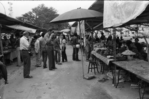 PELANCONG ASING