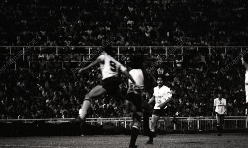BOLA SEPAK PIALA MALAYSIA