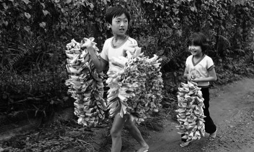 HARI CHING MING