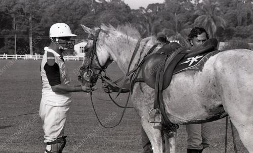 PERTANDINGAN POLO