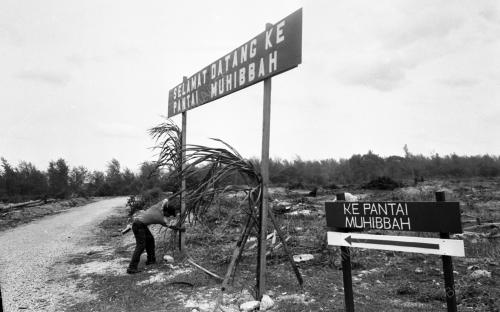 PH17_10081984_PANTAI