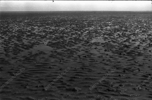 HAKISAN PANTAI
