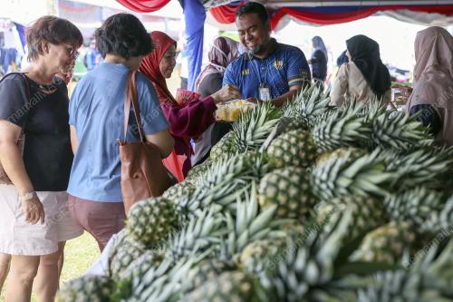 JUALAN AGRO MADANI