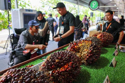 SAMBUTAN HARI PENEROKA