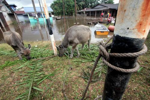 SUASANA BANJIR