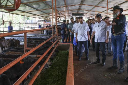 DATUK SERI WAN ROSDY WAN ISMAIL