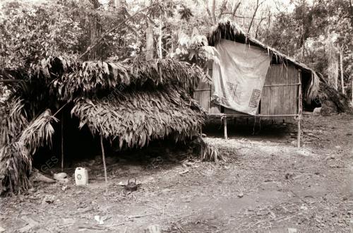 SUKU KAUM ASLI BATEK KUALA TAHAN