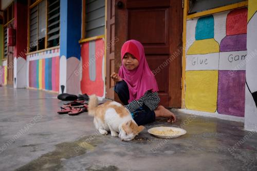 TINJAUAN BANJIR DAN HUJAN LEBAT