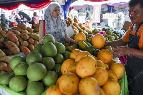 JUALAN AGRO MADANI