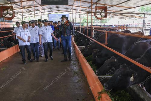 DATUK SERI WAN ROSDY WAN ISMAIL