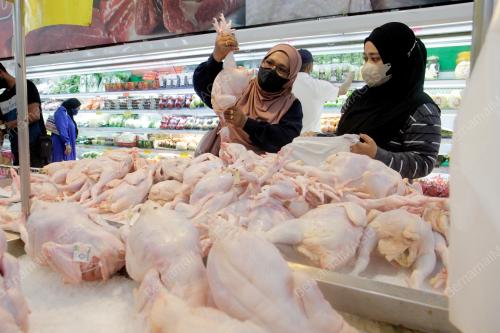 JUALAN MURAH KELUARGA MALAYSIA