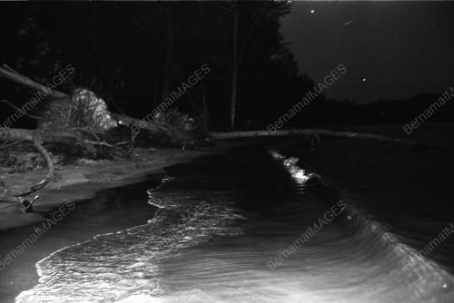 HAKISAN PANTAI