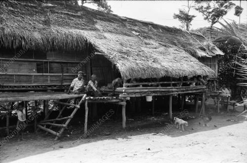 KAMPUNG