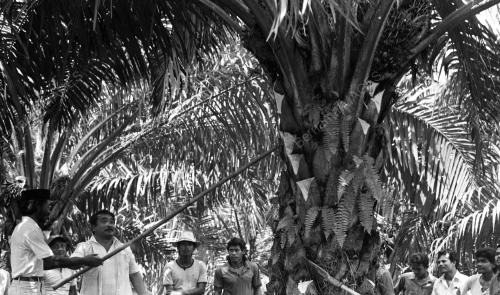 PH20_05082015_LEPAR_UTARA