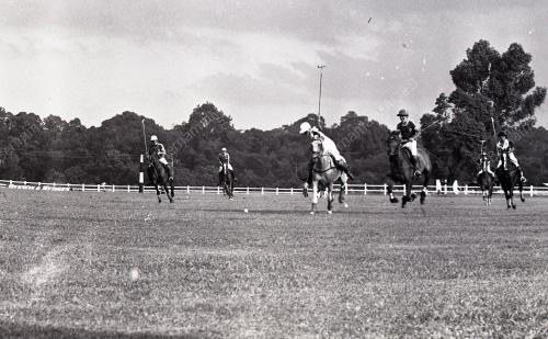 PERTANDINGAN POLO