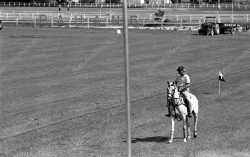 PH20_14072015_POLO