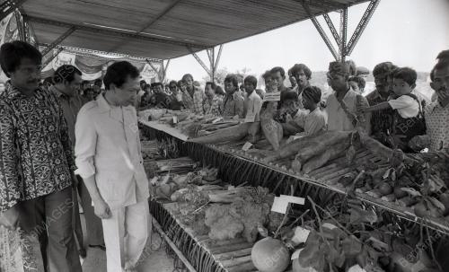 RAIS YATIM
