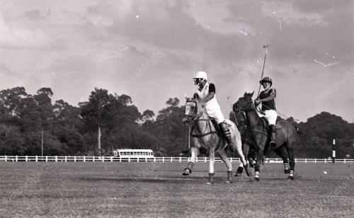 PERTANDINGAN POLO