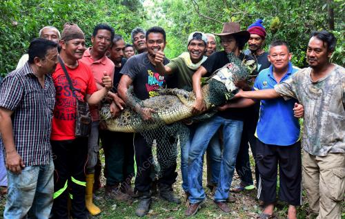 PH21_27072017_BUAYA