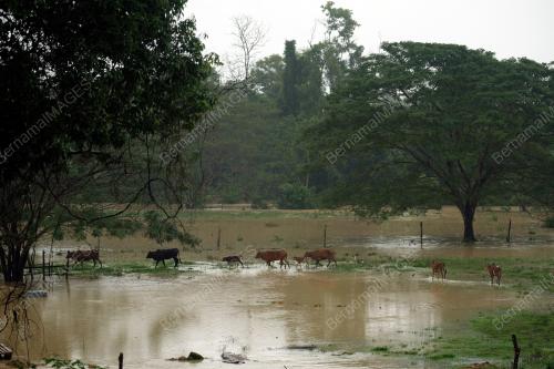 PH22_02012018_BANJIR