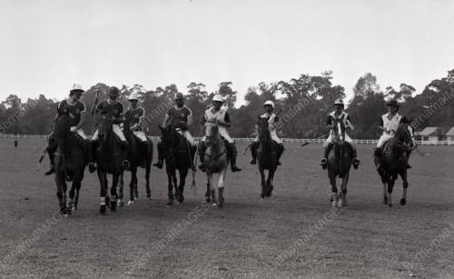PERTANDINGAN POLO