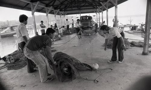 PENGARAH PERIKANAN