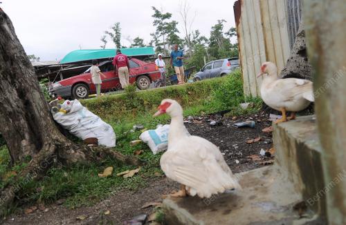 PH22_16112014_BANJIR