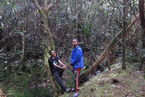 ANAS AHMAD ZULHISHAM
