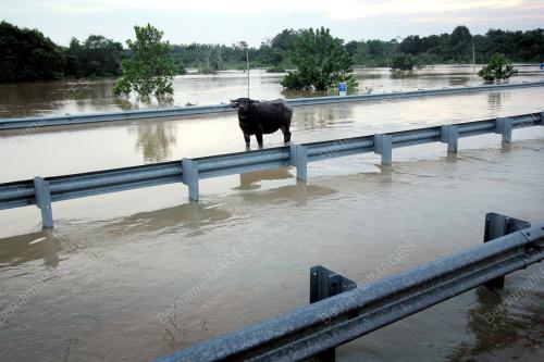 PH23_01012015_BANJIR