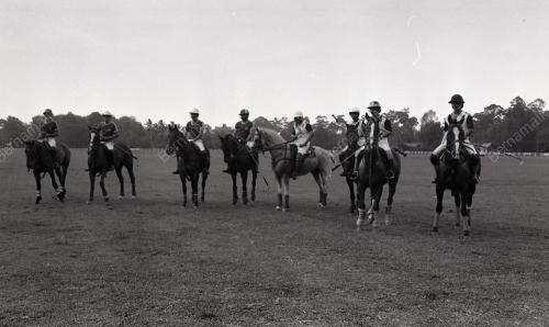 PERTANDINGAN POLO