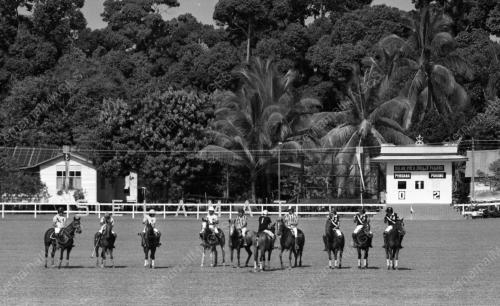 PH23_14072015_POLO