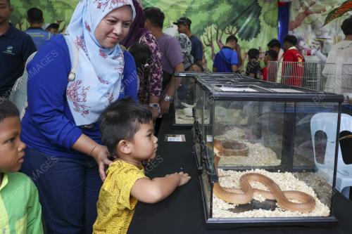 MINI ZOO