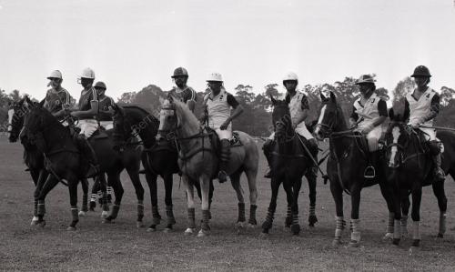 PERTANDINGAN POLO