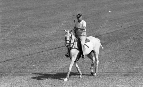 PH24_14072015_POLO