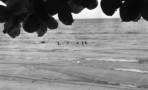 PH25_12032015_PROJEK