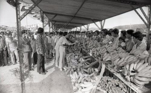RAIS YATIM