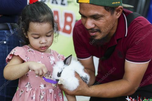 MINI ZOO