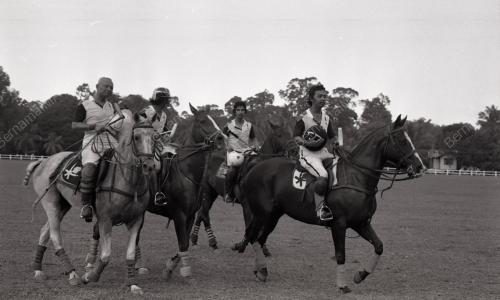 PERTANDINGAN POLO