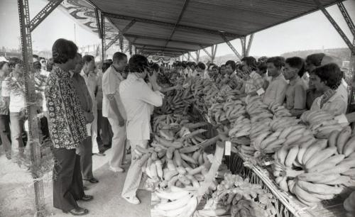 RAIS YATIM