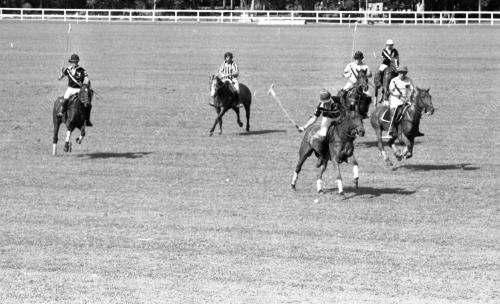 PH27_14072015_POLO