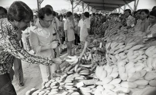 RAIS YATIM