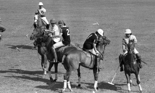 PH28_14072015_POLO