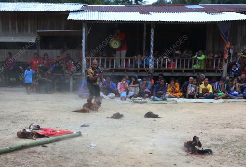 BERSUNAT SUKU KAUM JAHUT