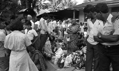 PERAYAAN PANGUNI UTHIRAM
