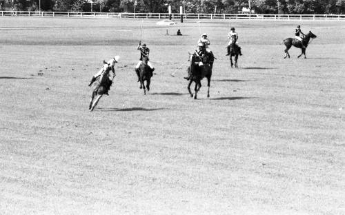 PH29_14072015_POLO
