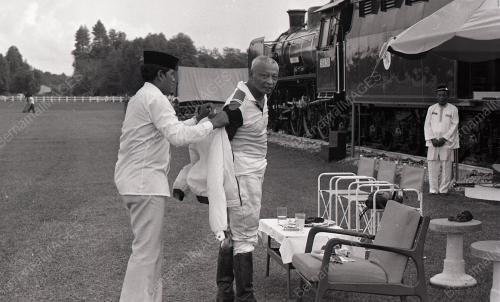 PERTANDINGAN POLO