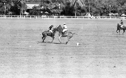 PH30_14072015_POLO